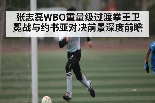 张志磊WBO重量级过渡拳王卫冕战与约书亚对决前景深度前瞻